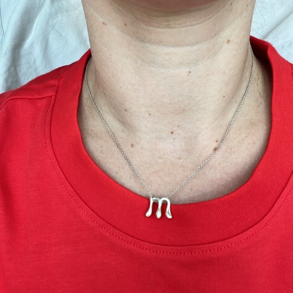 Tiffany & Co. Sterling Silver Scorpio necklace - Picture 4 of 4